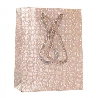 Фото - Серебряный подарочный пакет Фото - Серебряный подарочный пакет