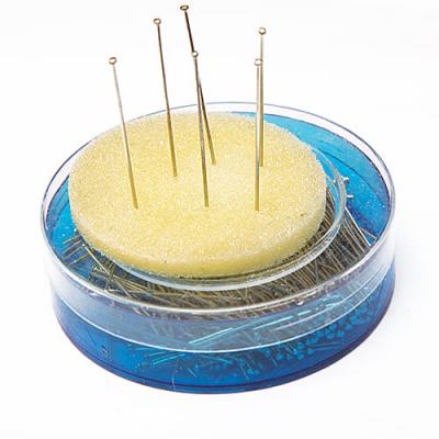 Фото - Булавки гвоздики латунь 35 мм