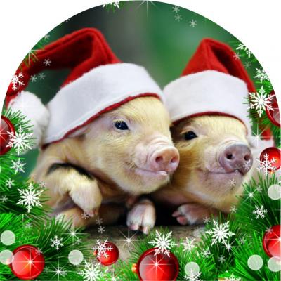 фото - Колпак на чайник Поросята фото - Колпак на чайник Поросята